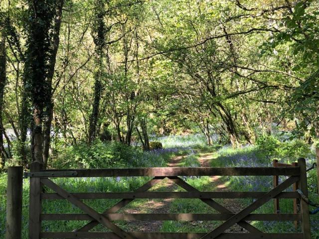 Down The Garden Path Vintage Caravan B&B , Dartmoor Newton Abbot Exteriör bild