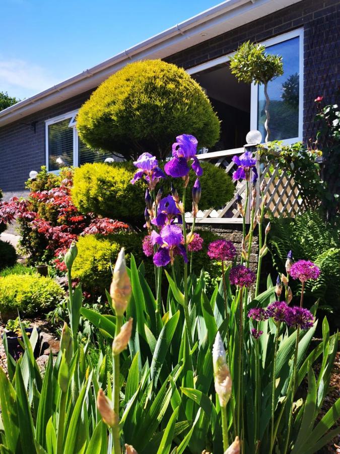 Down The Garden Path Vintage Caravan B&B , Dartmoor Newton Abbot Exteriör bild